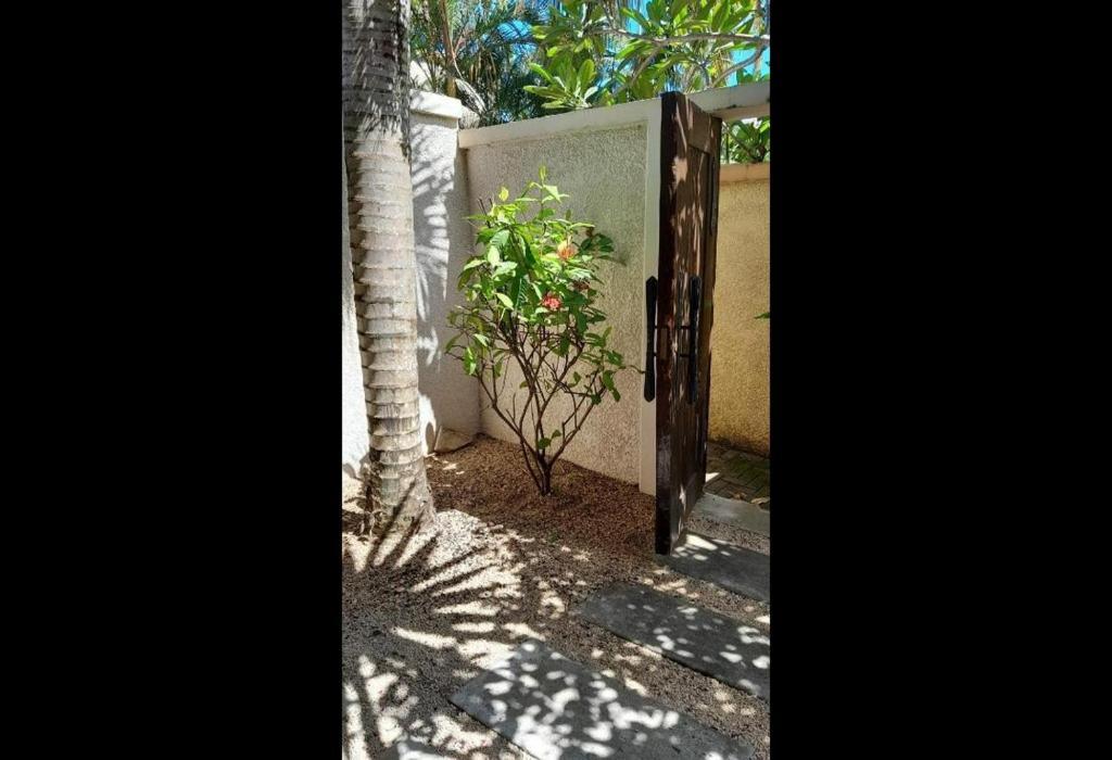 Oasis 1 Villa Tropicale غراند بايَ المظهر الخارجي الصورة