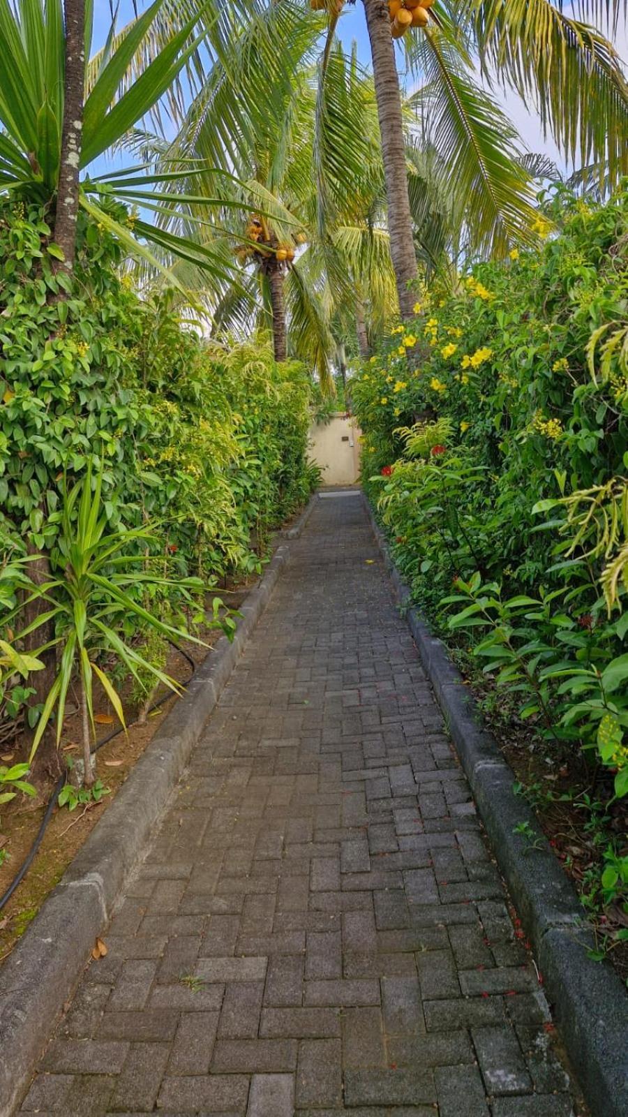 Oasis 1 Villa Tropicale غراند بايَ المظهر الخارجي الصورة